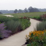NATIVE CULVER PATH