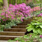 WOODLAND STAIRS