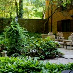 THE REAR PATIO