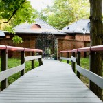 THE BRIDGE