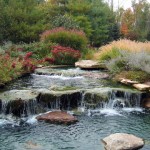 POND IN AUTUMN