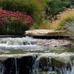 FALLS IN AUTUMN