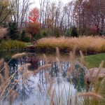 UPPER POND