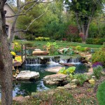 THE LOWER POND