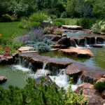 POND IN SPRING