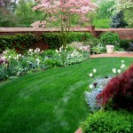 Low Maintenance Gardens