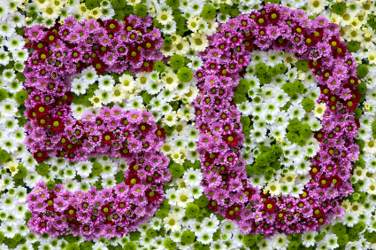 50th Anniversary Flower Image
